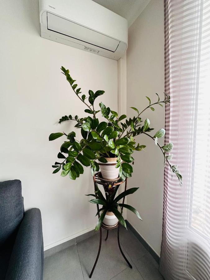 马赛Le Soulier De Notre Dame公寓 外观 照片
